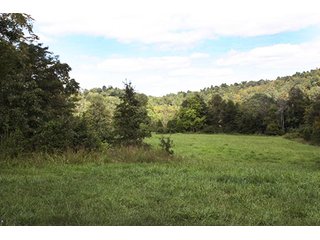 Property photo 5 - LAND AUCTION - 261+/- ACRES IN BRECKINRIDGE COUNTY